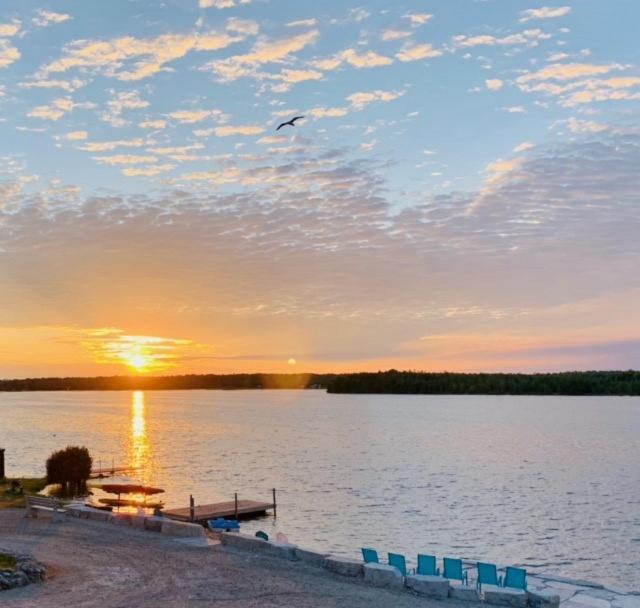 Tamarac Island Motel Stokes Bay Buitenkant foto